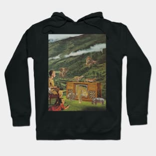 4K television Hoodie